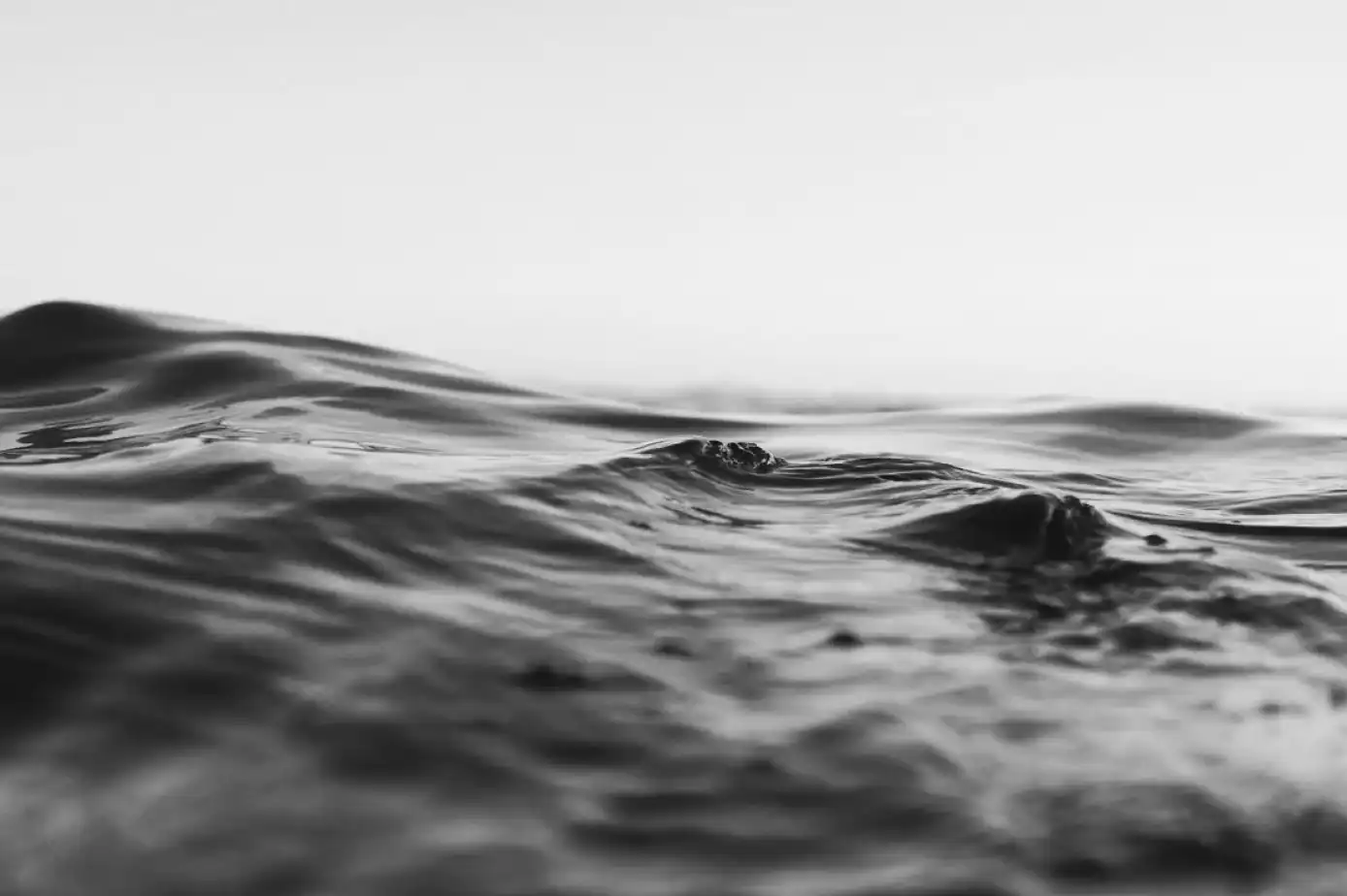 Eliah Brown Waves